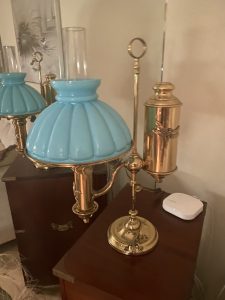Rare nature lamp with a lizard, butterfly, frog and dragonfly